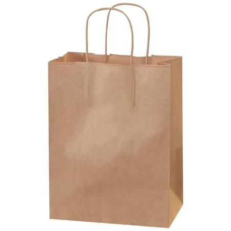 Bsc Preferred 8 x 4-1/2 x 10 1/4'' Kraft Paper Shopping Bags, 250PK BUY00029589